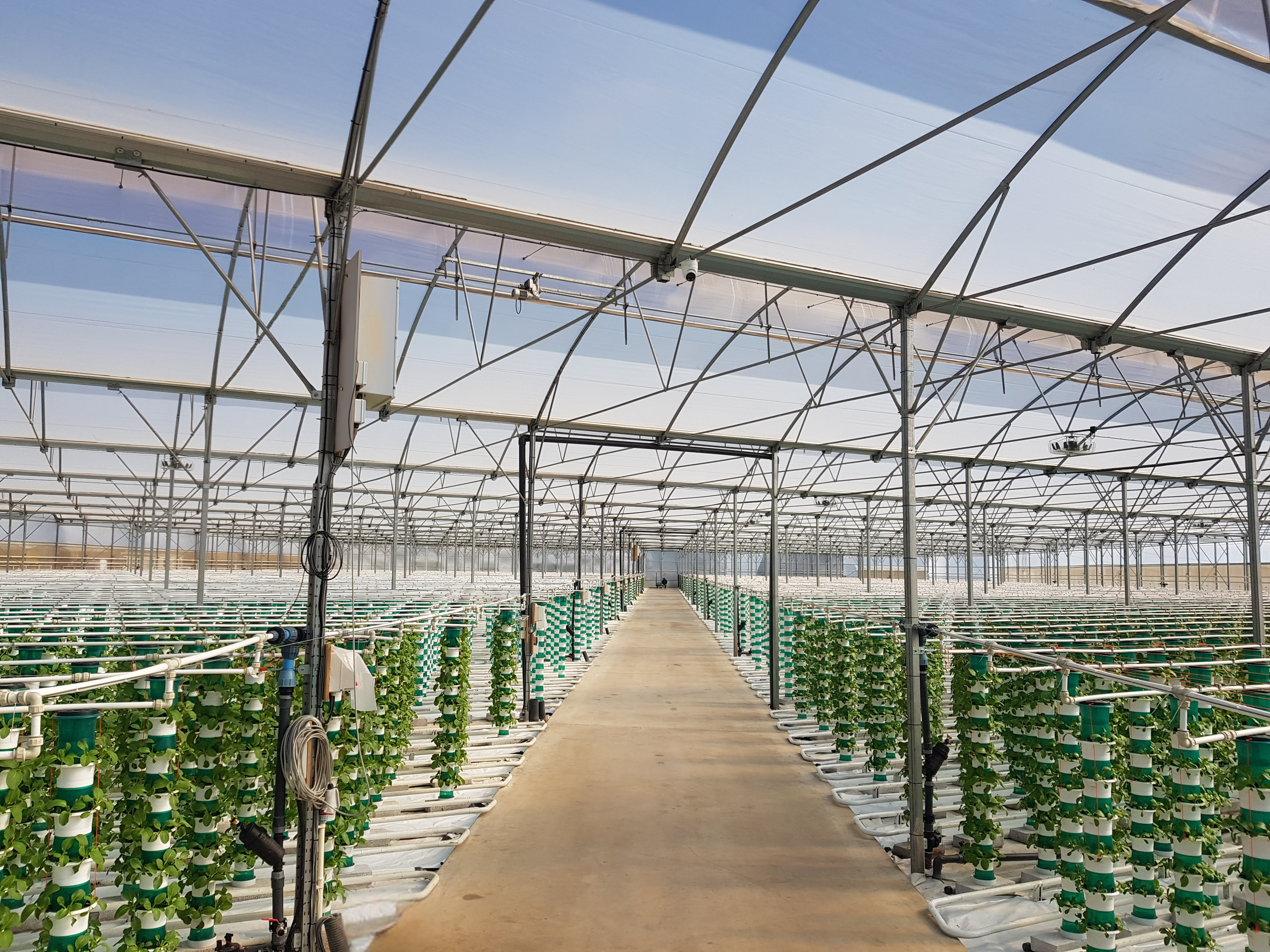 Saturn Bioponics Background